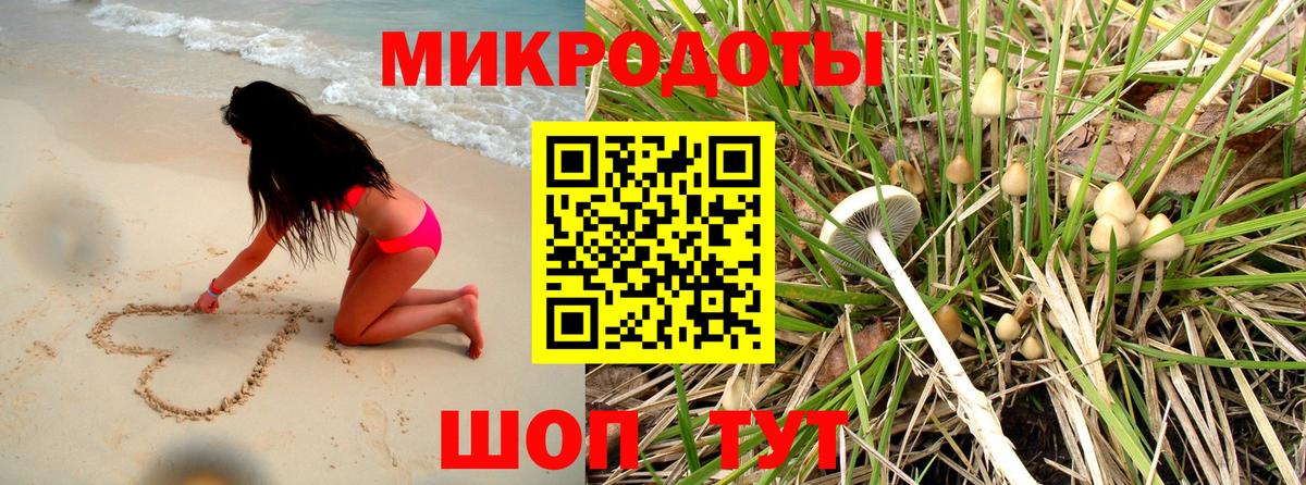 Псилоцибиновые грибы MAGIC MUSHROOMS  Вход с VPN  купить закладку  Чита 